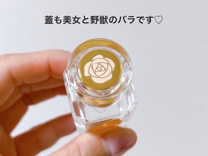 高品位「スクワラン」/HABA/フェイスオイルを使ったクチコミ(4枚目)