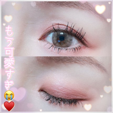 レ ベージュ パレット ルガール/CHANEL/アイシャドウパレットを使ったクチコミ(5枚目)