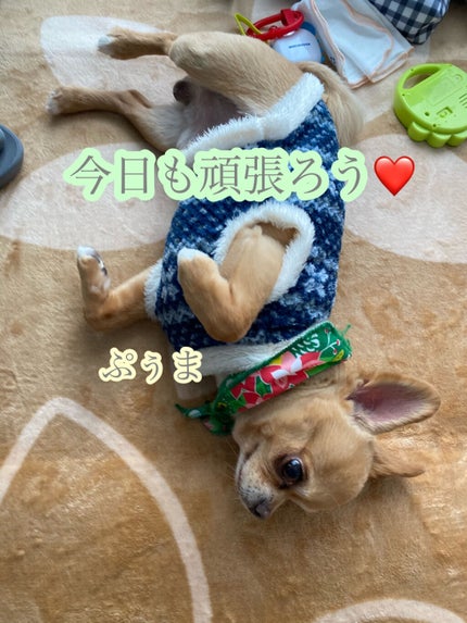 フォームチェンジマスク/APEX/洗い流すパック・マスクを使ったクチコミ(4枚目)