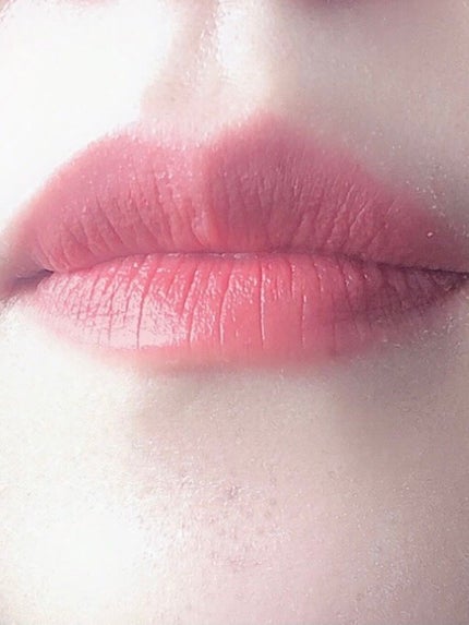 口紅ケース D 4/ちふれ/その他化粧小物を使ったクチコミ(3枚目)