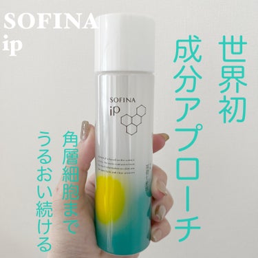 SOFINA iP　ソフィーナ iP 角層トリートメント 基礎化粧液
本体 160ml　¥2.420



ずっと気になっていたソフィーナipの化粧液💚


角層細胞まで浸透してくれて、水分を逃さず保つ