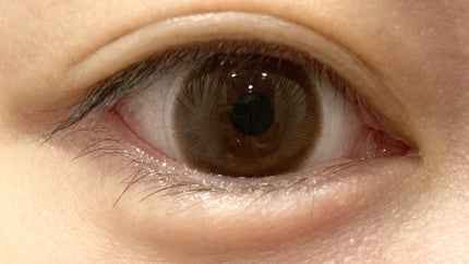 エバーカラーワンデー ナチュラル/エバーカラー/ワンデー(1DAY)カラコンを使ったクチコミ(8枚目)