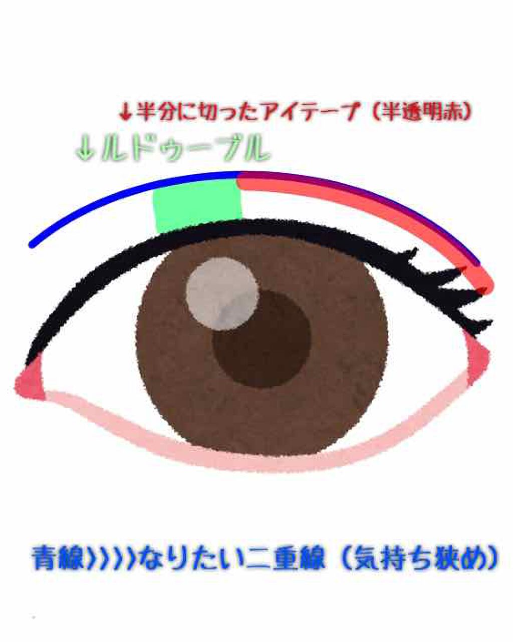 ルドゥーブル/ルドゥーブル/二重まぶた用アイテムを使ったクチコミ(2枚目)