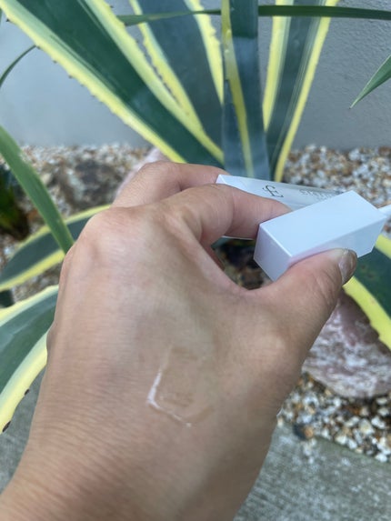 エテルナムリップセラム /エテルナム/リップ美容液を使ったクチコミ(4枚目)