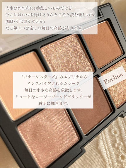 ブラーフィニシュシャドウパレット/Dinto/アイシャドウパレットを使ったクチコミ(8枚目)