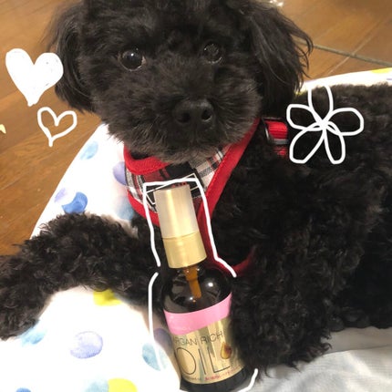 オイルトリートメント #EXヘアオイル/ルシードエル/ヘアオイルを使ったクチコミ(1枚目)