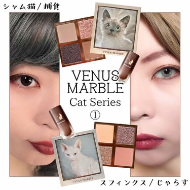 キャットシリーズマットリップカラー/Venus Marble/口紅を使ったクチコミ（1枚目）