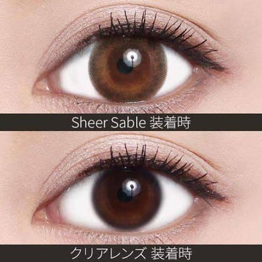 ReVIA 1day [COLOR] Sheer Sable（シアーセーブル）/ReVIA/ワンデー（１DAY）カラコンを使ったクチコミ（3枚目）