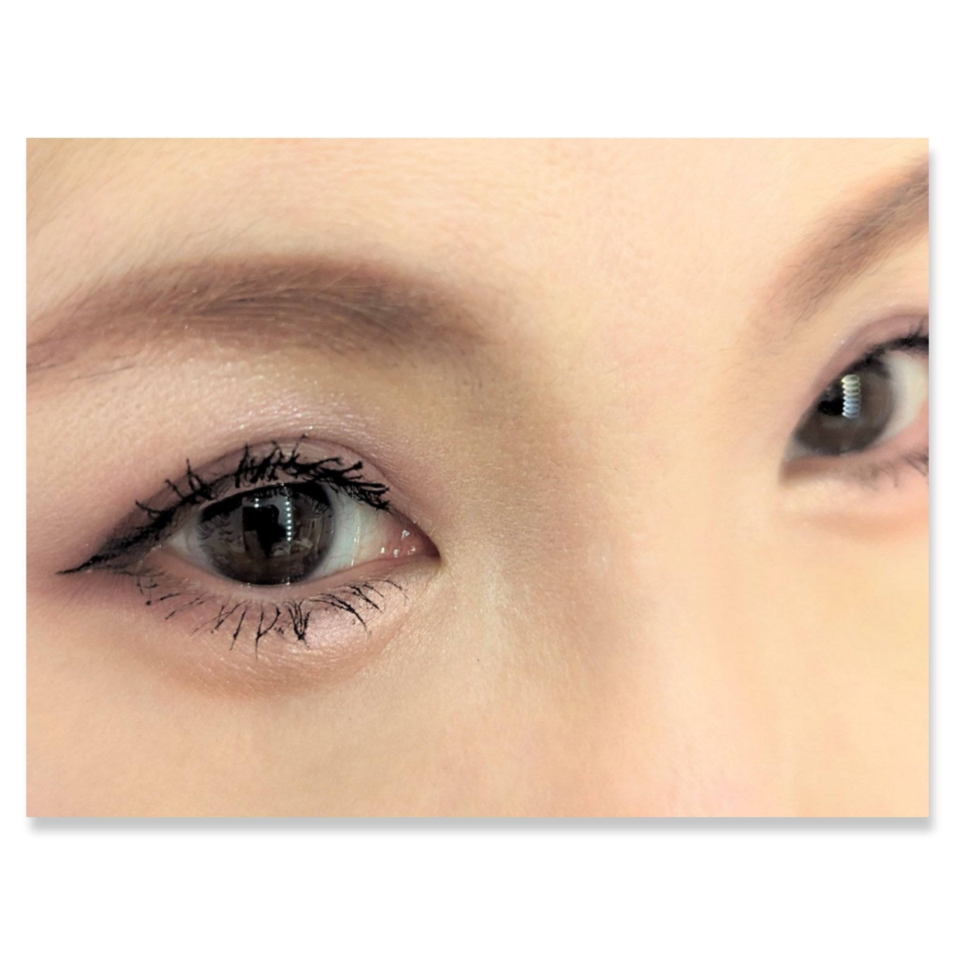 デザイニングブラウンアイズ/KATE/アイシャドウパレットを使ったクチコミ（2枚目）