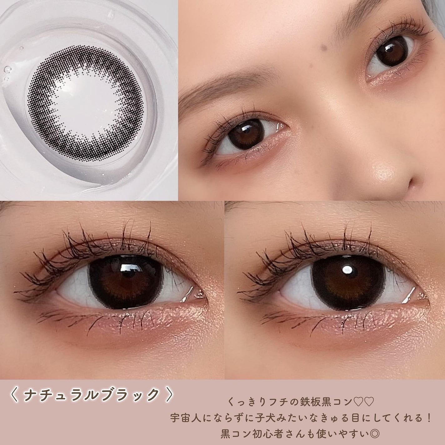 エバーカラーワンデー ナチュラル/エバーカラー/ワンデー(1DAY)カラコンを使ったクチコミ(4枚目)