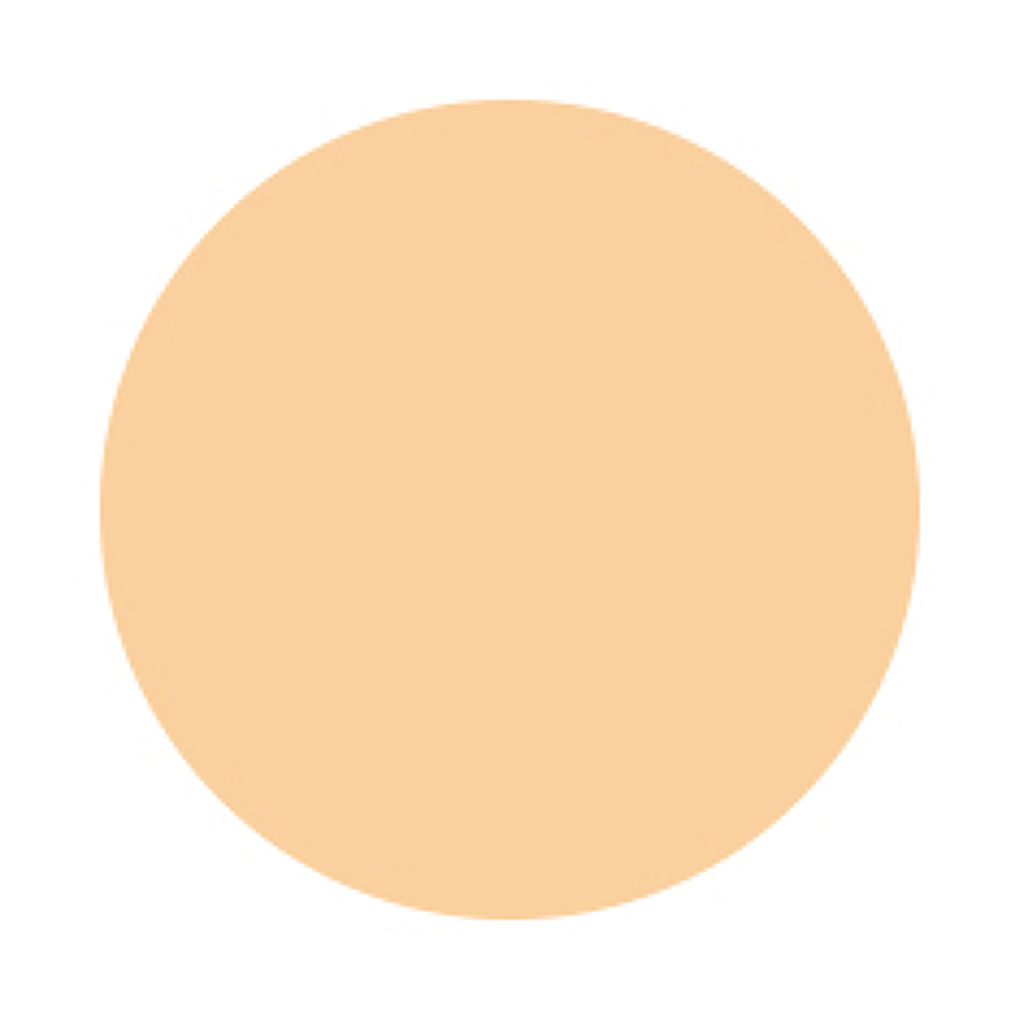 ミネラルモイストパウダー ファンデーション SPF19 PA++(ミニジャータイプ) 102 ニュートラル