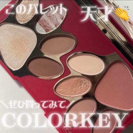 トラ十色アイシャドウパレット/COLORKEY/アイシャドウパレットを使ったクチコミ(1枚目)