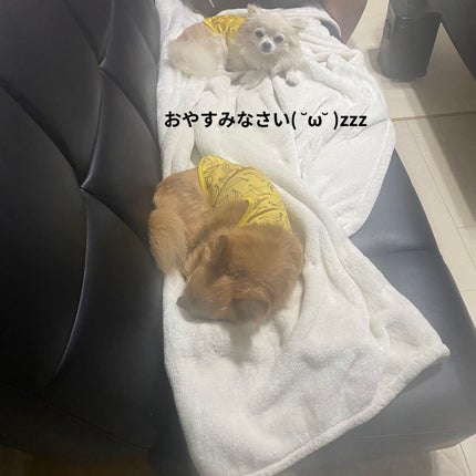 ナイトミン 耳ほぐタイム/小林製薬/その他を使ったクチコミ(8枚目)