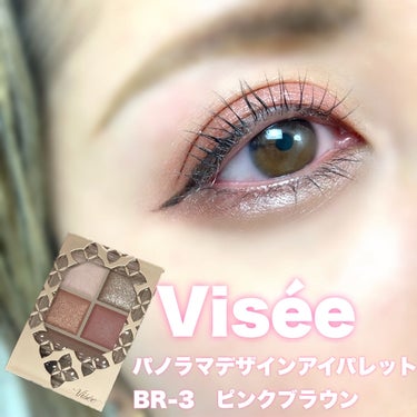 パノラマデザイン アイパレット/Visée/アイシャドウパレットを使ったクチコミ（1枚目）