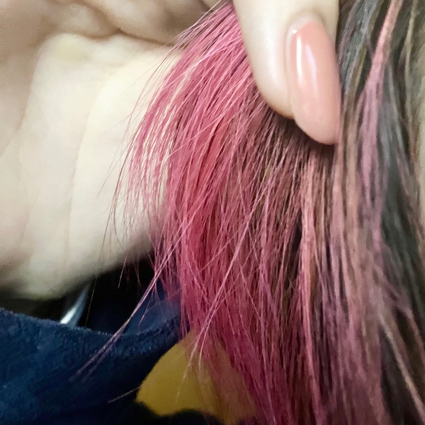 エンシェールズカラーバター/エンシェールズ/ヘアカラーを使ったクチコミ(4枚目)