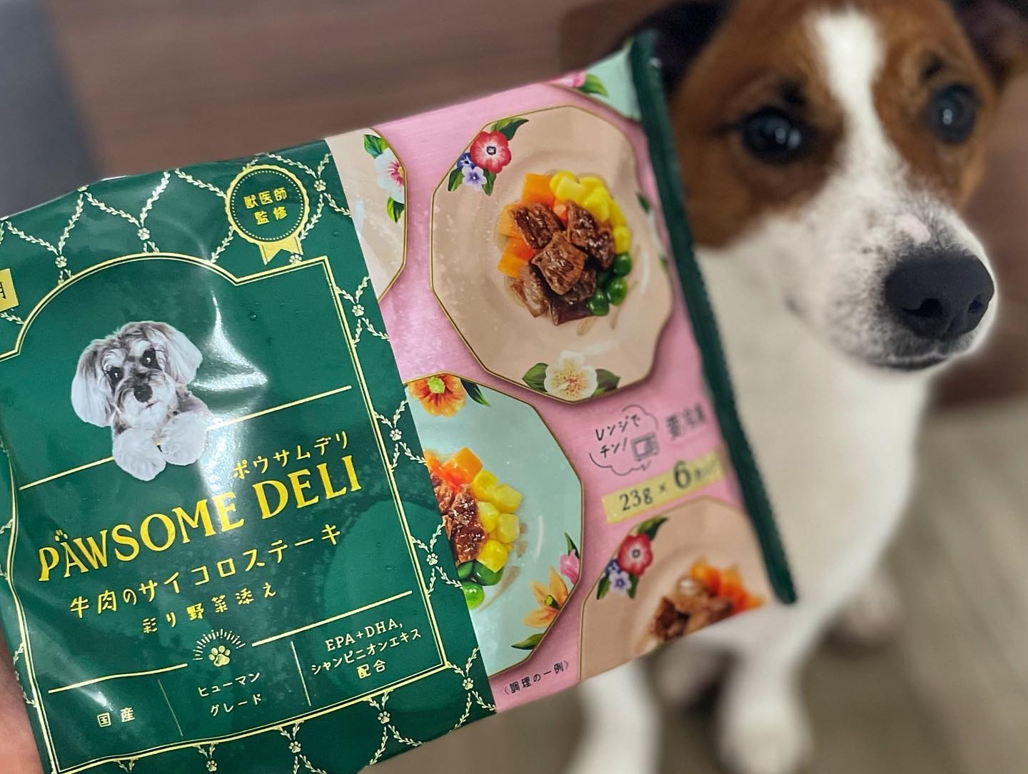 ニッスイx獣医師の愛犬用冷凍ペットフード/ニッスイ/その他を使ったクチコミ（3枚目）