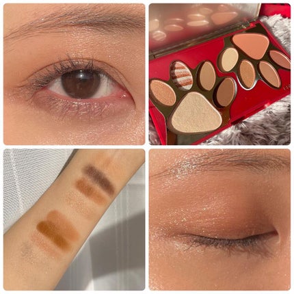 トラ十色アイシャドウパレット/COLORKEY/アイシャドウパレットを使ったクチコミ(5枚目)