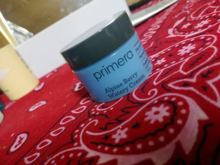 アルパインベリーウォータークリーム 50ml/primera/フェイスクリームを使ったクチコミ(1枚目)