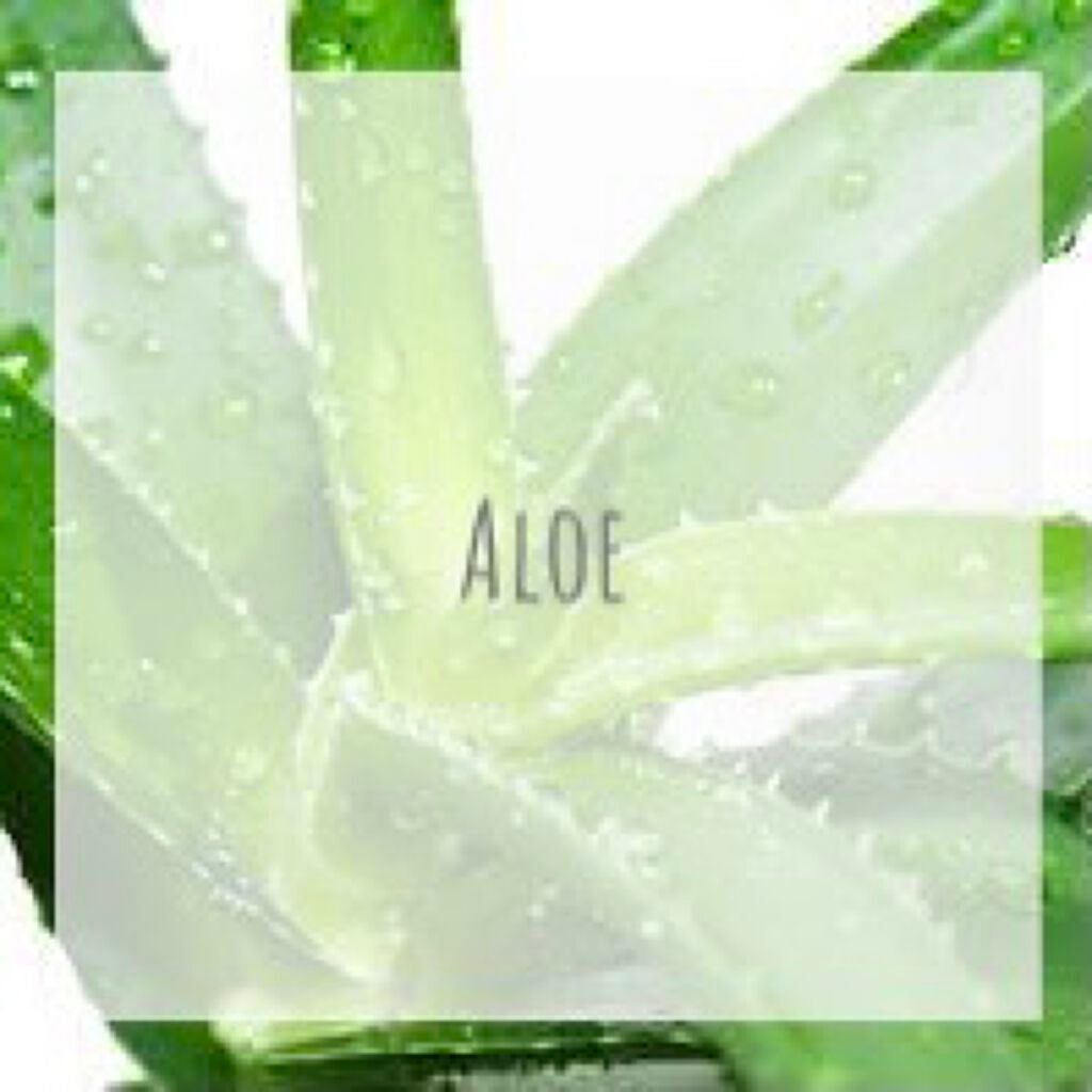 アロエ99% スージングジェル/HOLIKA HOLIKA/ボディローションを使ったクチコミ(1枚目)