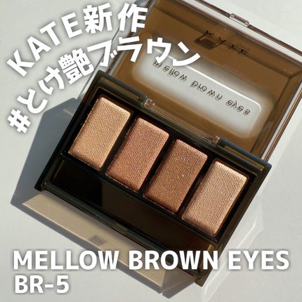 ケイト メロウブラウンアイズ/KATE/アイシャドウパレットを使ったクチコミ(1枚目)