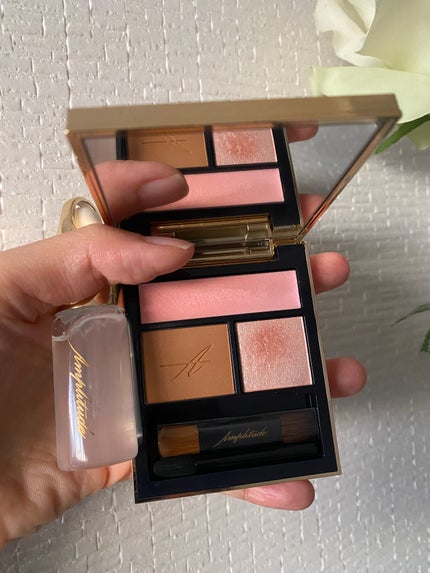 コンスピキュアス アイズ/Amplitude/アイシャドウパレットを使ったクチコミ(1枚目)