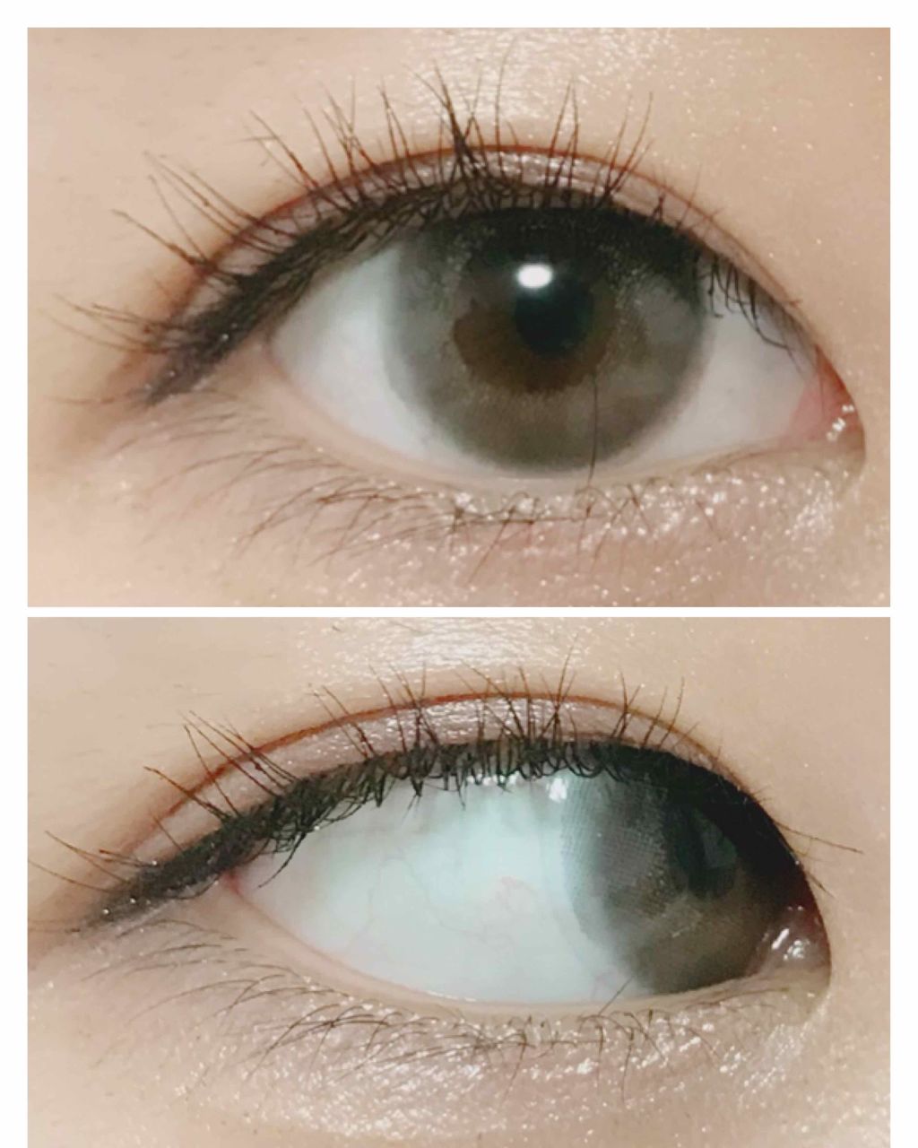 Angelcolor Bambi Series Vintage 1day/AngelColor/ワンデー(1DAY)カラコンを使ったクチコミ(2枚目)