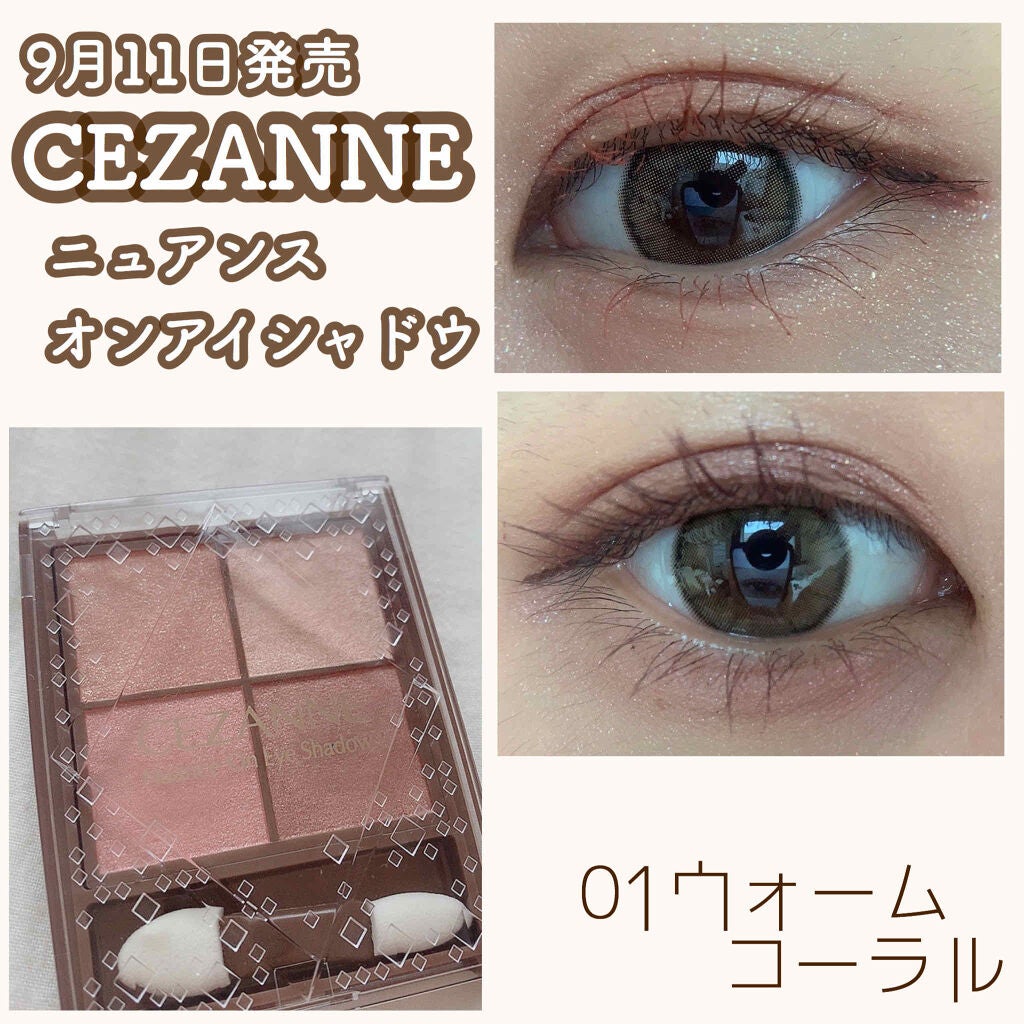 ニュアンスオンアイシャドウ/CEZANNE/アイシャドウパレットを使ったクチコミ(1枚目)