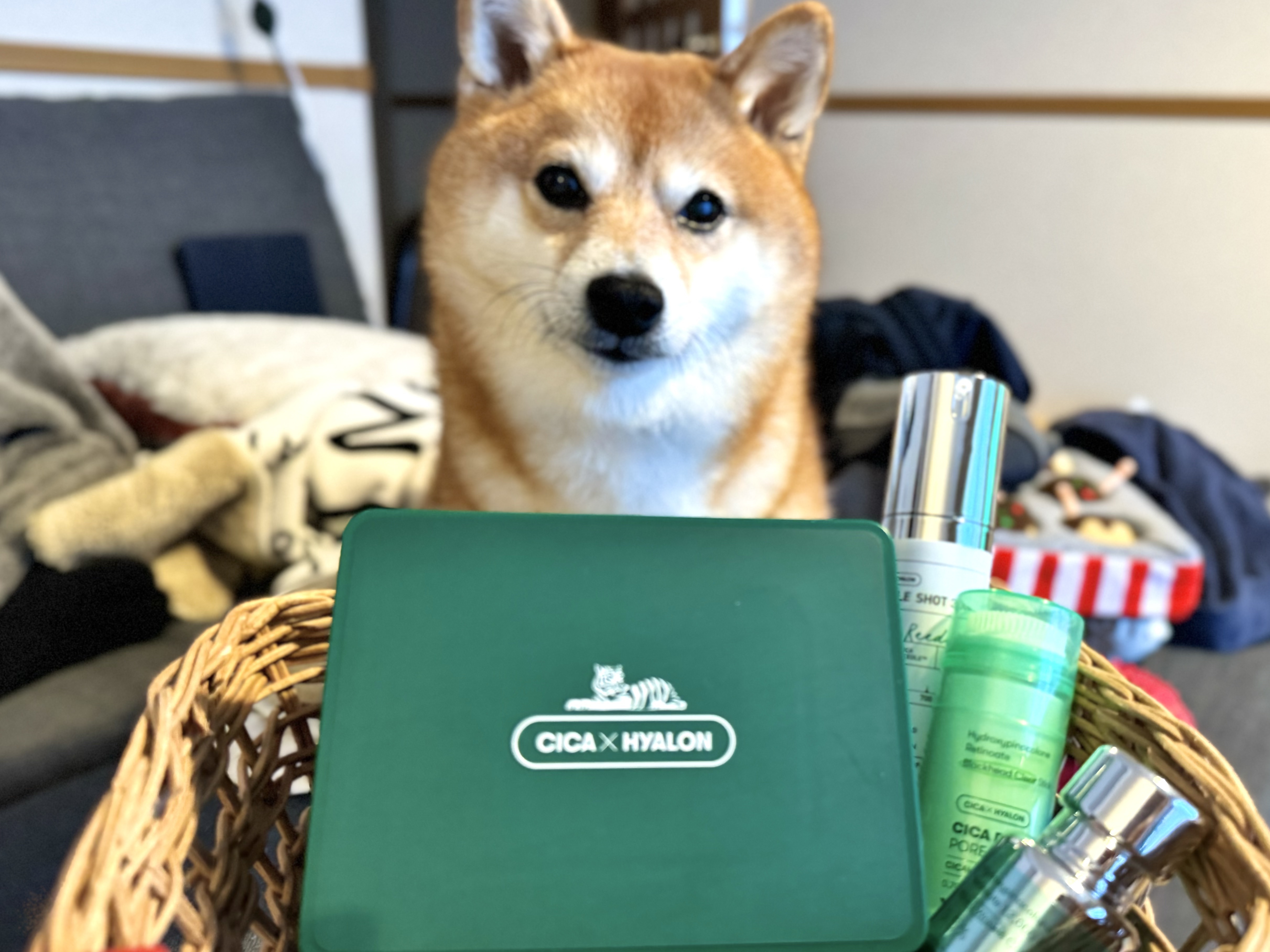 CICA デイリースージングマスク/VT/シートマスク・パックを使ったクチコミ（1枚目）