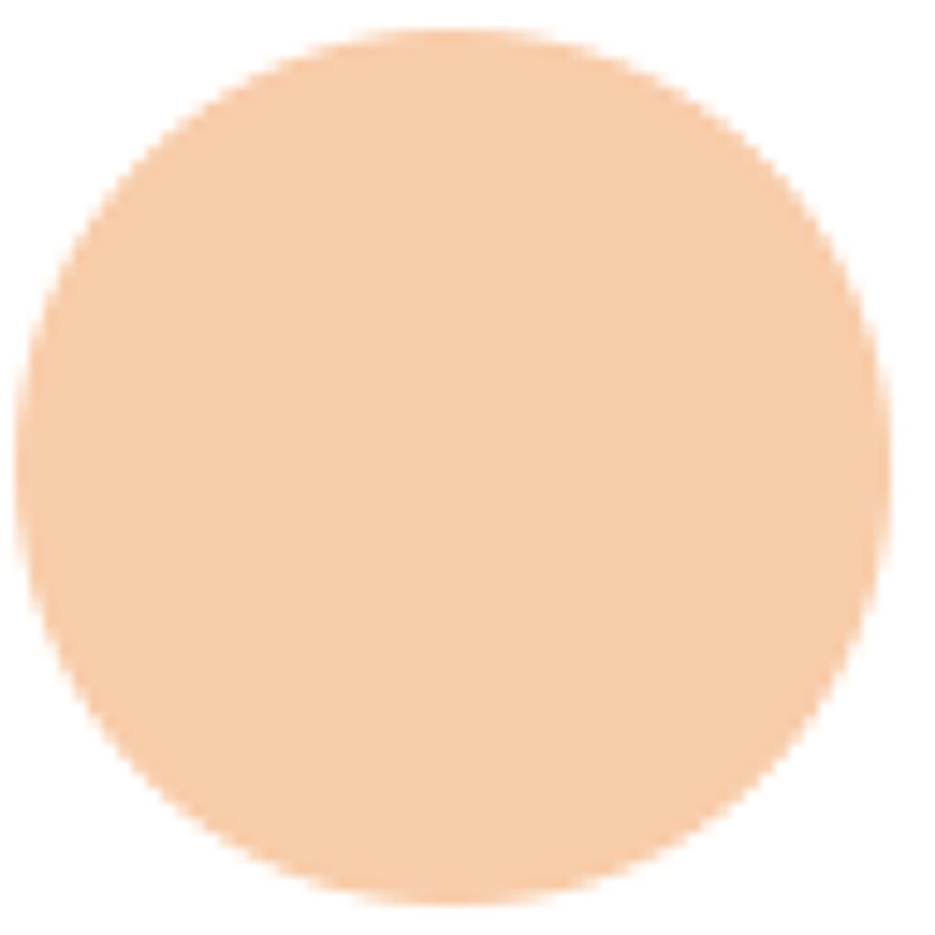 ザ スキン パウダーファンデーション エア 301