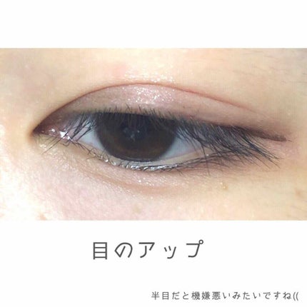 パーフェクトマルチアイズ/キャンメイク/アイシャドウパレットを使ったクチコミ(2枚目)
