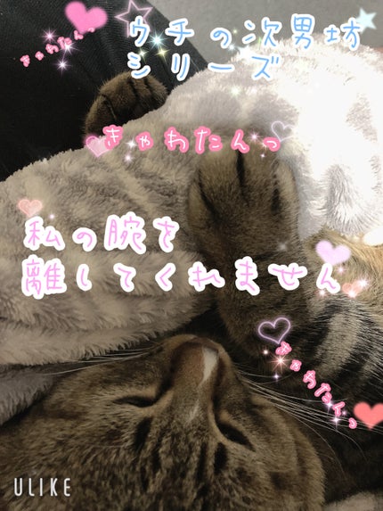 йаÑsÏ
ð¥ã³ã¹ã¡ð奜ããããšæ²¢å±±ç¹ããããð on LIPS ãããŠãã®æ¬¡ç·åã·ãªãŒãºðââ¬ðŸðããã€ãããŠãã®æ¬¡ç·åã·ãªãŒãº..ãïŒ1æç®ïŒ