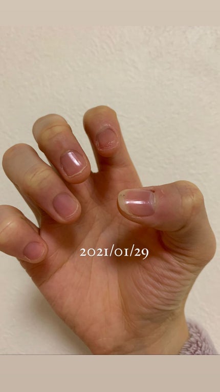 を使ったクチコミ(3枚目)