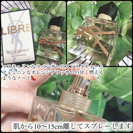 リブレ オーデパルファム/YVES SAINT LAURENT BEAUTE/香水(レディース)を使ったクチコミ(2枚目)