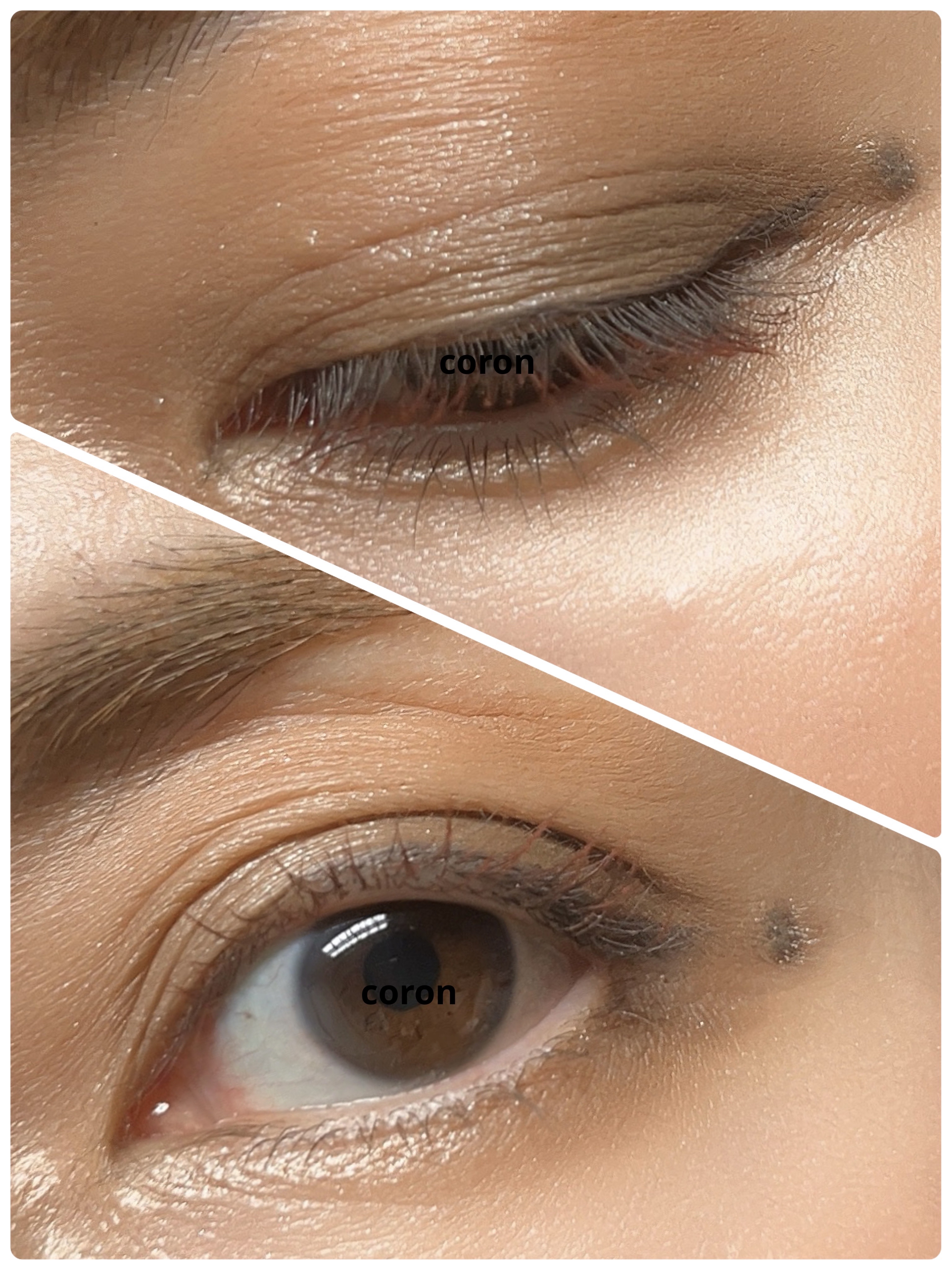  キャメルパレット/Natasha Denona/アイシャドウパレットを使ったクチコミ（2枚目）