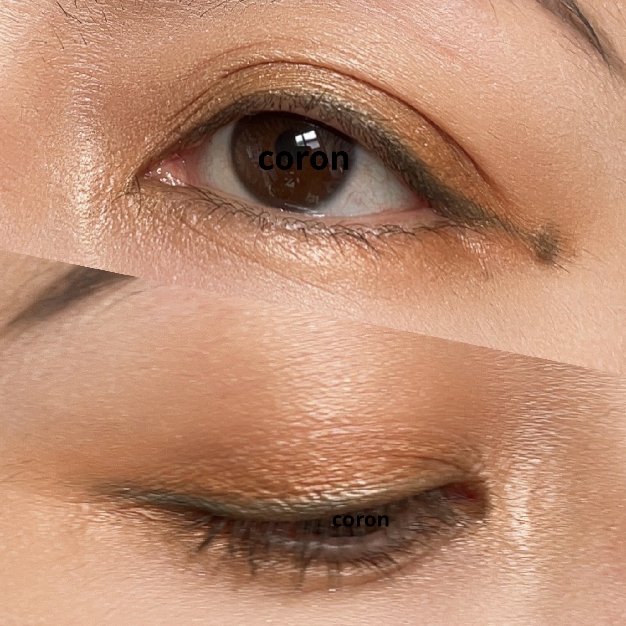 エテュセ リップエディション（プランパー）リッチスタイル/ヘルシースタイル/ettusais/リップケアを使ったクチコミ（2枚目）