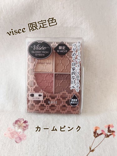 グロッシーリッチ アイズ N/Visée/パウダーアイシャドウを使ったクチコミ（1枚目）