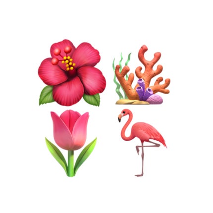 ãžã¥ãŒã·ãŒã©ã¹ãã£ã³ã°ãã£ã³ã/rom&nd/ãªãããã£ã³ãã䜿ã£ãã¯ãã³ãïŒ3æç®ïŒ