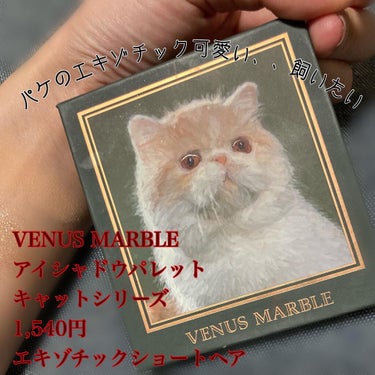 Venus Marble アイシャドウキャットシリーズ/Venus Marble/アイシャドウパレットを使ったクチコミ（2枚目）