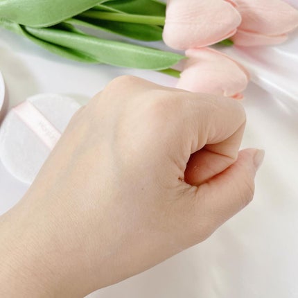 ウォンジョンヨ フィクシングブラーパウダー N/Wonjungyo/ルースパウダーを使ったクチコミ(6枚目)