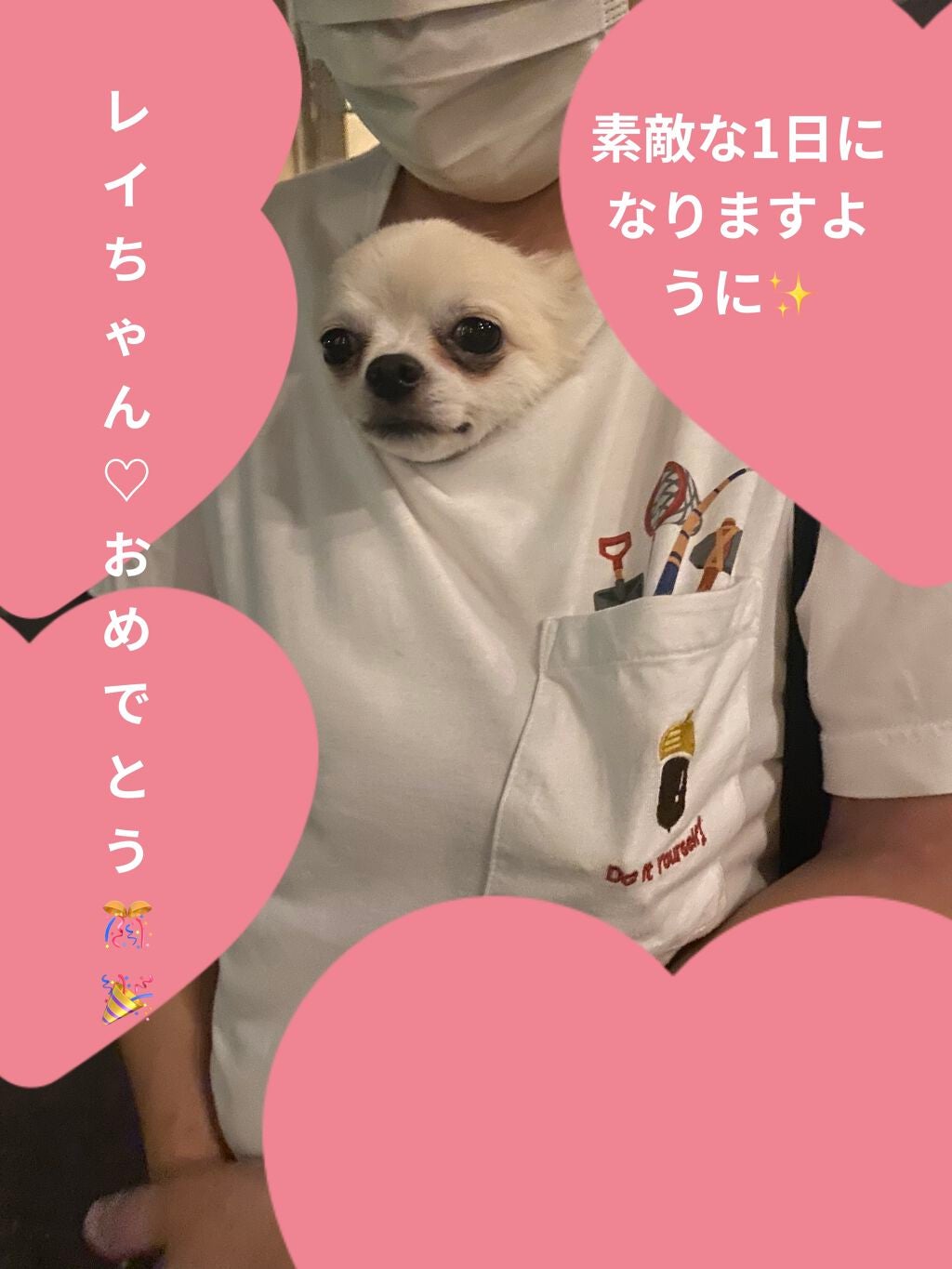 ネイル エナメル/ちふれ/マニキュアを使ったクチコミ(7枚目)