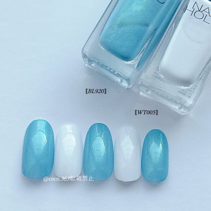 ネイルホリック Future Metal/ネイルホリック/マニキュアを使ったクチコミ(5枚目)