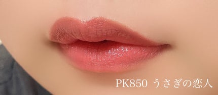 ネンマクフェイク ルージュ/Visée/口紅を使ったクチコミ(3枚目)