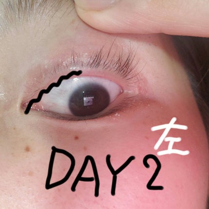 豆腐さんっ(現在マツ育日記の人) on LIPS 「まつ育日記Day3いや。もう結果出たのでは??爆笑やる意味ある..」(2枚目)