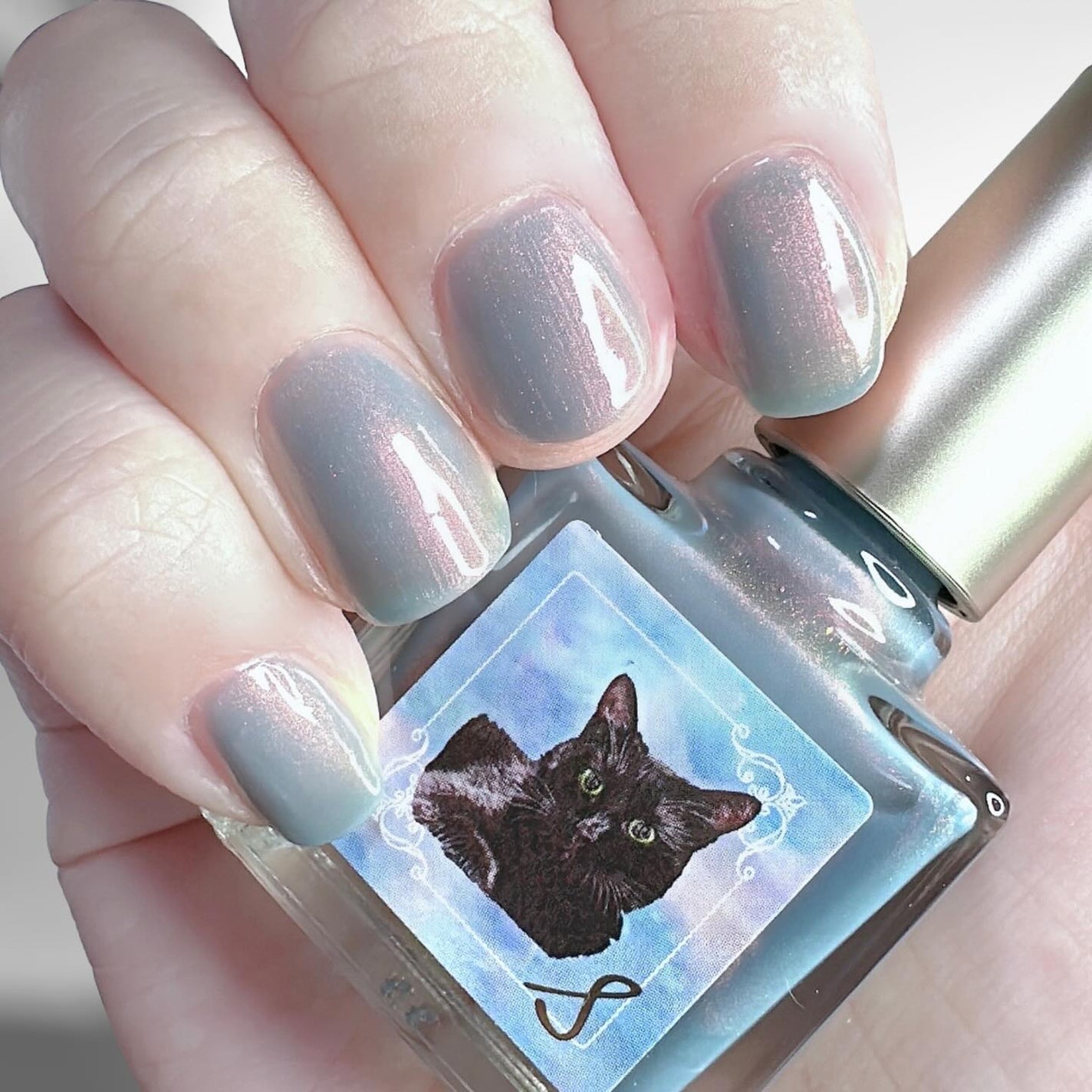 ネイルエス/ nail S(ネイルエス) /マニキュアを使ったクチコミ(2枚目)