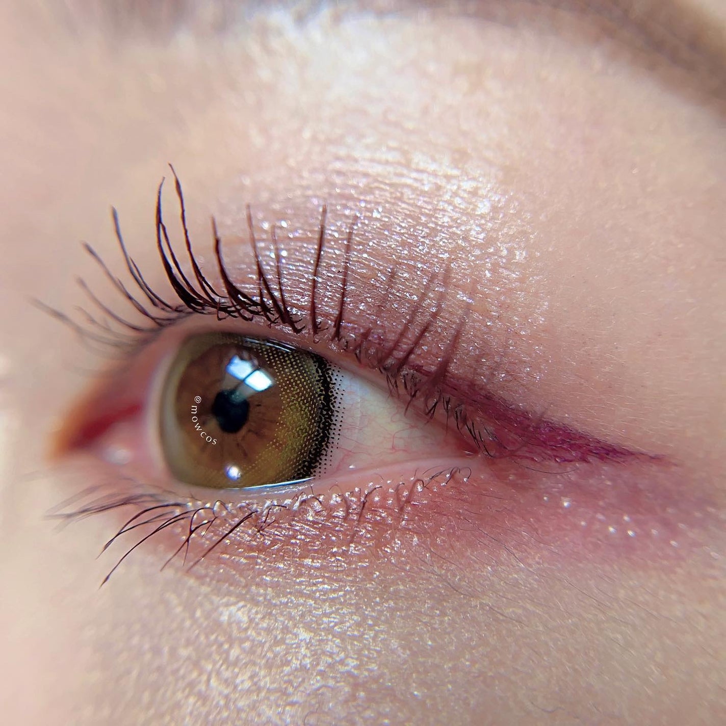 ミネラルクラッシィシャドー/エトヴォス/アイシャドウパレットを使ったクチコミ(5枚目)