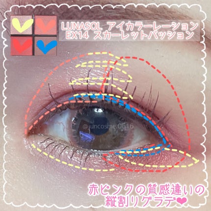 アイカラーレーション/LUNASOL/アイシャドウパレットを使ったクチコミ(4枚目)
