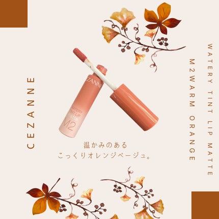 ori on LIPS 「家にある秋にぴったりなリップまとめ🍂🍁*˗ˏˋperseˎˊ˗..」(4枚目)
