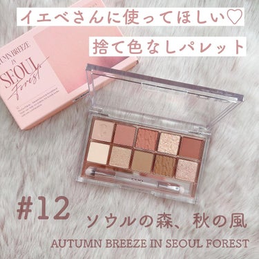 プロ アイ パレット 12 AUTUMN BREEZE IN SEOUL FOREST/CLIO/アイシャドウパレットを使ったクチコミ（2枚目）