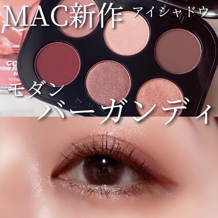 コネクト イン カラー アイシャドウ パレット × 6/M・A・C/アイシャドウパレットを使ったクチコミ(1枚目)