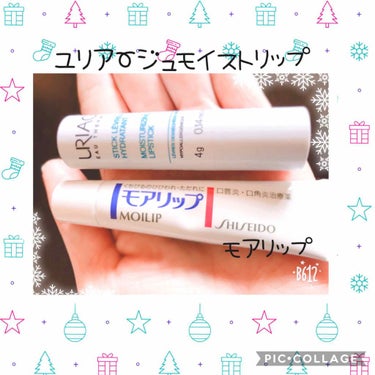 モアリップ A(医薬品)/資生堂薬品/リップケア・リップクリームを使ったクチコミ（1枚目）